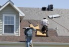 Tahleeskylights-2.jpg; ?>
